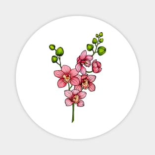 orchid flowers branch Magnet